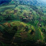 Terraced Hills of Rwanda