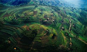 Terraced Hills of Rwanda