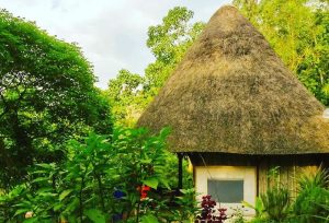 Nyazibiri Eco-Community Camp