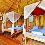 At the River Ishasha