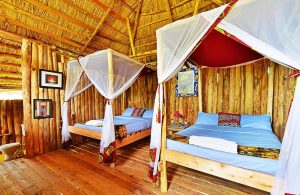 At the River Ishasha