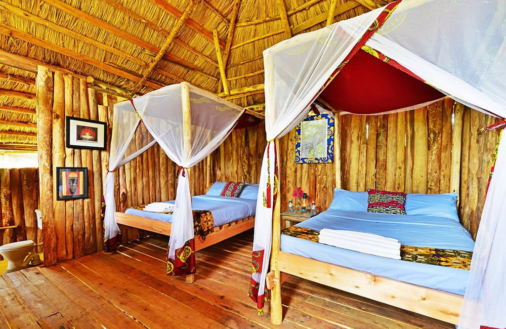 At the River Ishasha